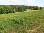 Radenci GRUNDSTÜCK IN DEN WEINBERGEN VON RADENCI, NUR 16 km BIS BAD RADKERSBURG,und 80 KM BIS GRAZ Haus kaufen